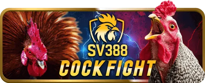 Chương trình VIP M788