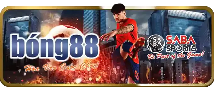 Đá gà Mỹ